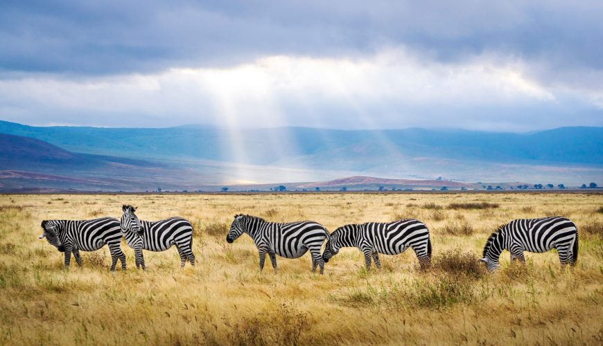 Make your dream Tour & Travel adventure with us